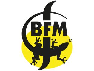 Brasserie BFM